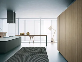 Cucina Moderna lineare Area 22 30 gradi 01 in laccato di Dibiesse